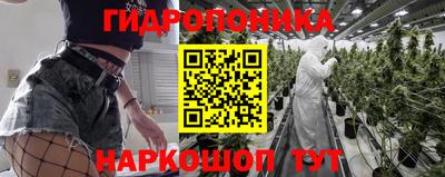 прущая мука Будённовск