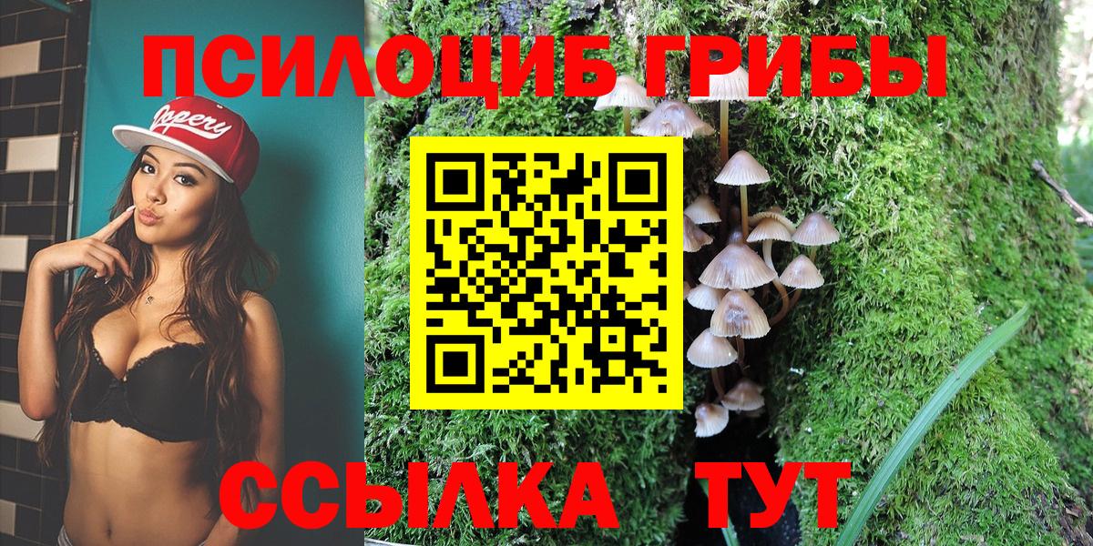 Псилоцибиновые грибы прущие грибы Ростов-на-Дону